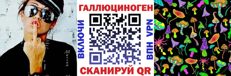 Псилоцибиновые грибы GOLDEN TEACHER  Баксан 